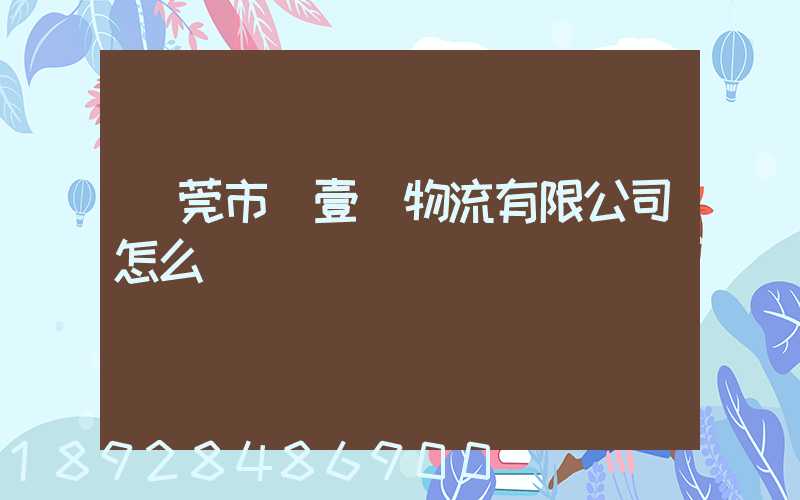 東莞市來壹來物流有限公司怎么樣
